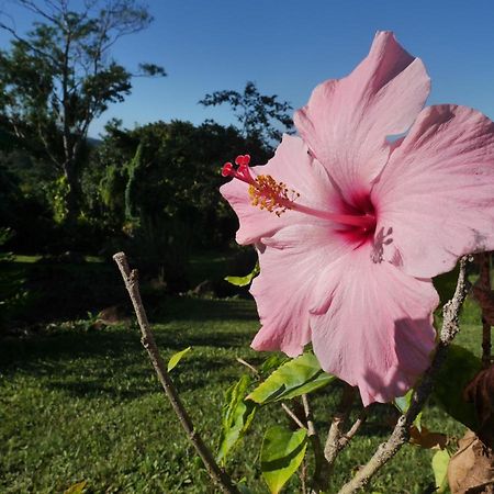 La Joupa Case Anthurium 圣罗斯 外观 照片