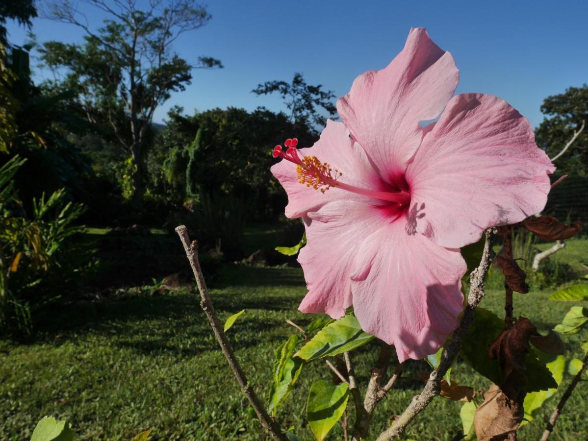 La Joupa Case Anthurium 圣罗斯 外观 照片